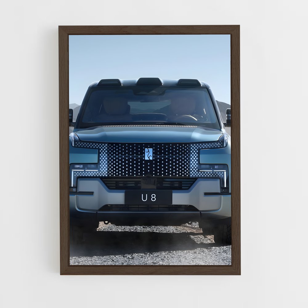 Poster Lincoln U8 Concept – affiche BYD (vue 5)
